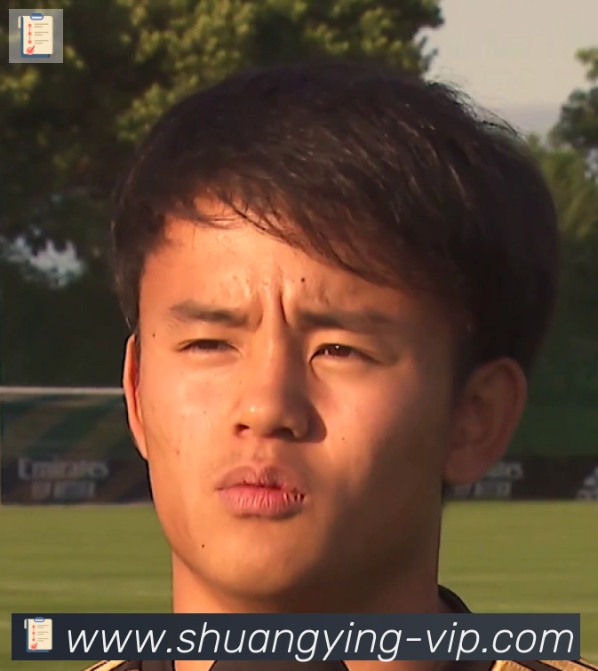 维尼修斯